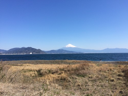 三保からの富士山