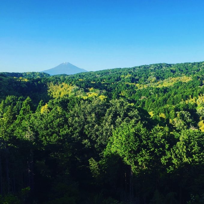 日本平からの富士山